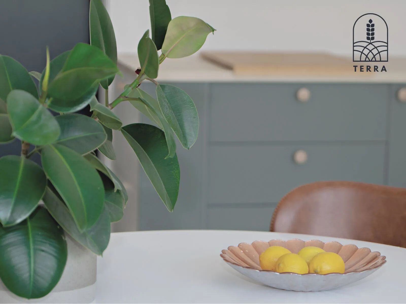 Morning at the table — Terra House, Ventspils